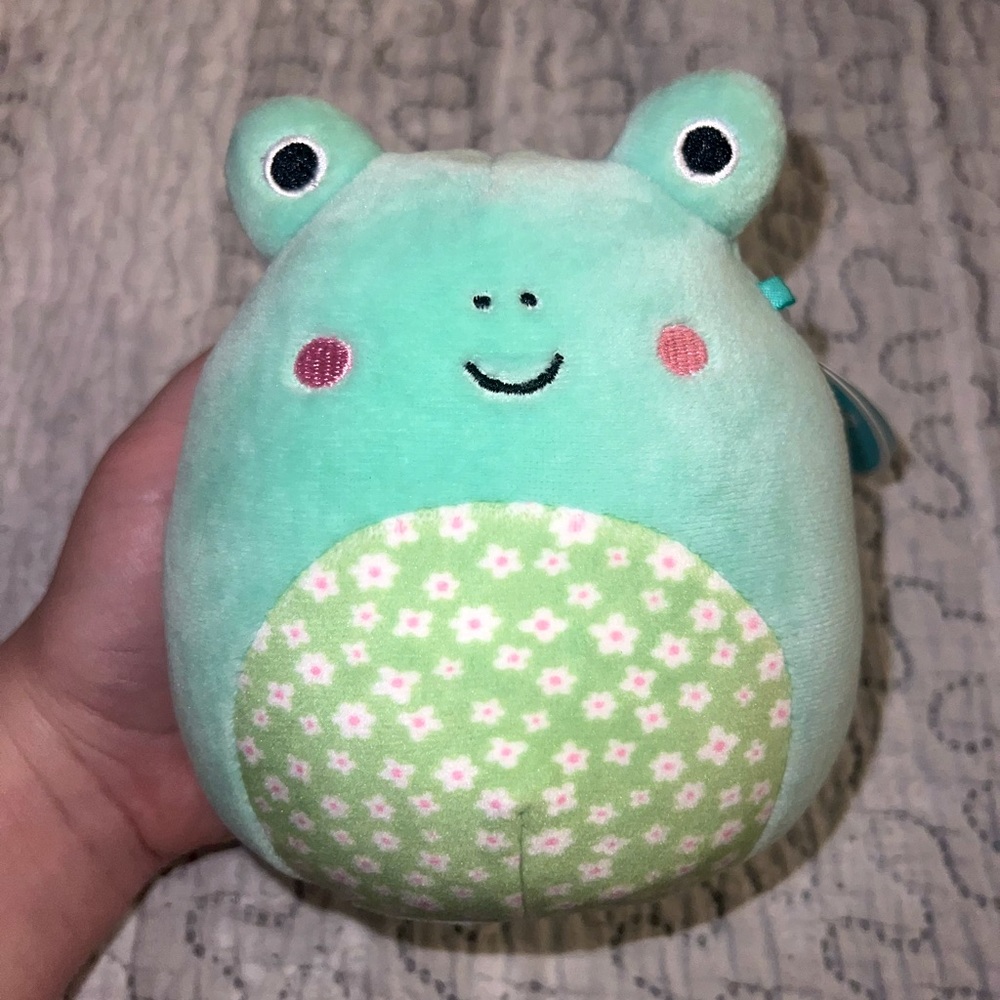 BNWT 5” Flower Belly Wendy Frog Squishmallow